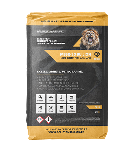 Image du produit : MBSR-20 DU LION image